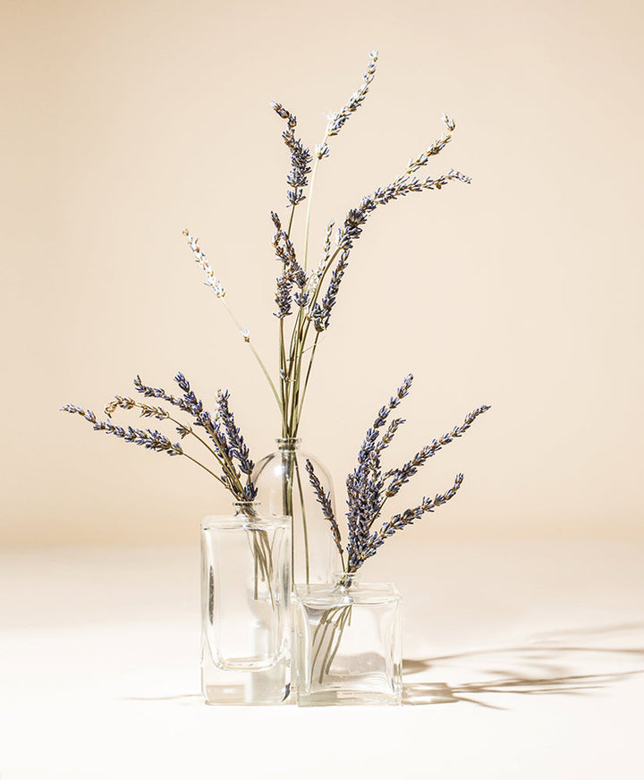 Premium French Lavender Essential Oil – Stress & Relaxation